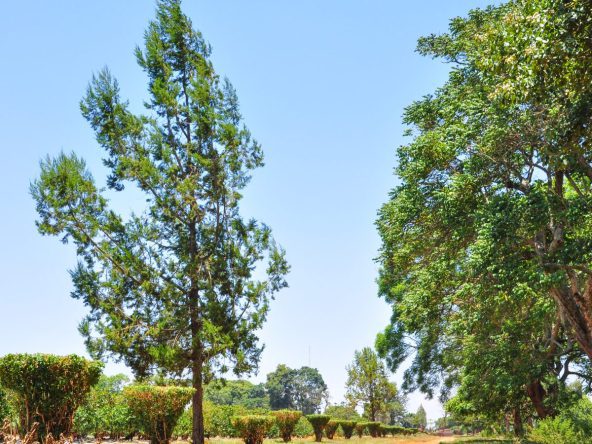 Commercial Plots for Sale on Juja-Gatundu Road