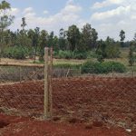 Plots for Sale in Taratibu Oaklands