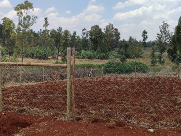 Plots for Sale in Taratibu Oaklands