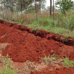 Plots for Sale in Pazuri Park Oaklands