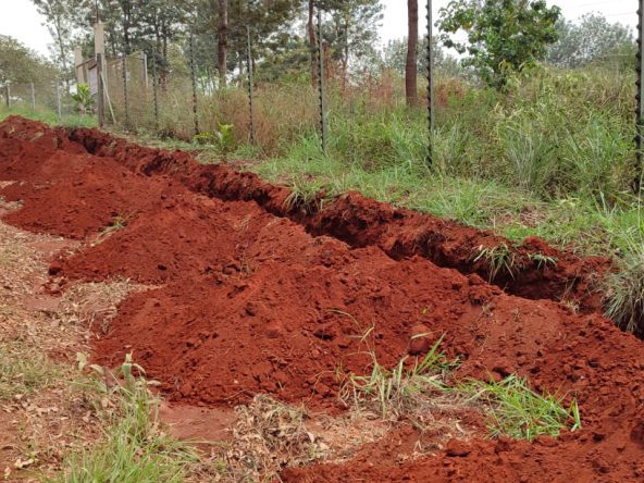 Plots for Sale in Pazuri Park Oaklands