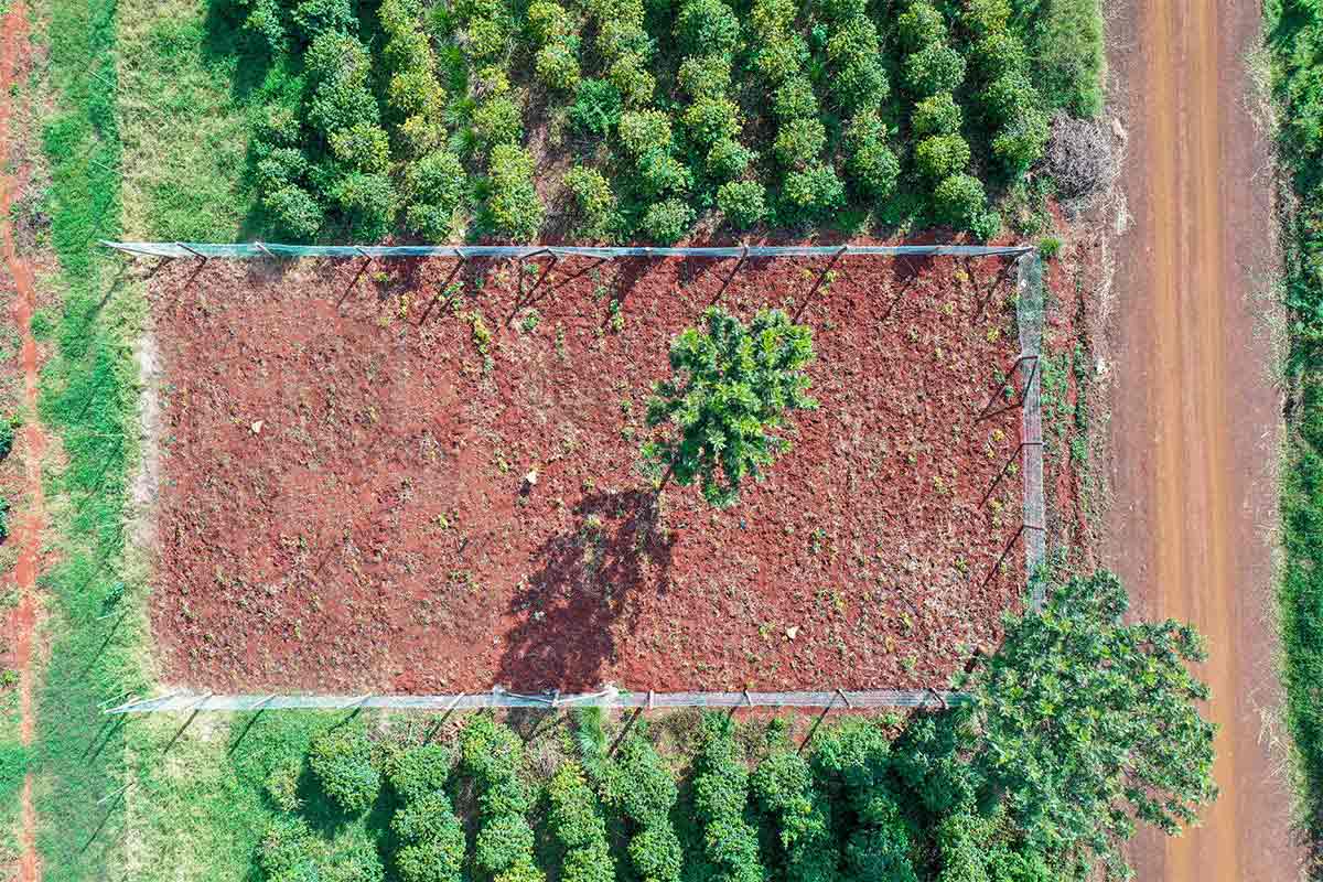 The-Springs-eight-acre-compressed-1-1